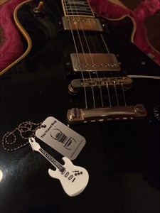&quot;Rocking Guitar&quot; Stratocaster meets