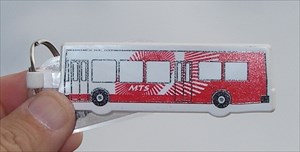 MTS Bus.jpg