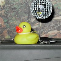 Disco Rubber Ducky