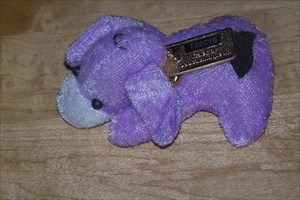 puppy of purple