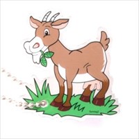 FarmtagZ - Die Ziege