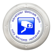 aaretaler Webcam Coin