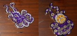 Purple octopus geocoin