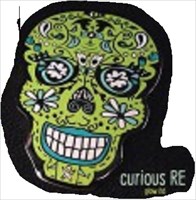 Cachers Skull geocoin - curious Edition
