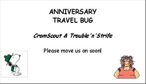 Anniversary Travel Bug