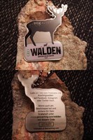 Walden Magazin