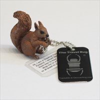 Orava - Squirrel