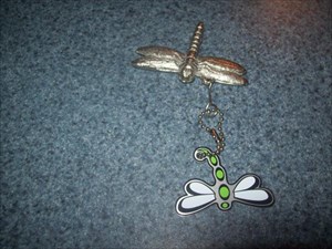 Dragonfly Cachekinz