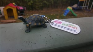 Henry the tortise