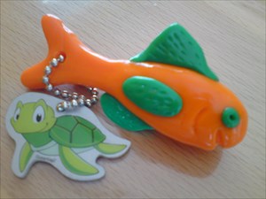 Turtle &amp; Fish