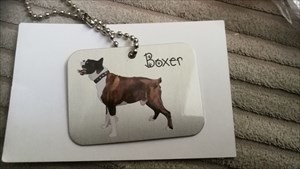 Butch the boxer