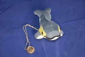Delfin mit der Coin
