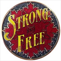 Strong and free Geocoin black nickel gold back