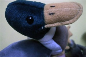 Duckulas Portrait