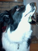 Wizz holding the Black Jack Doggy