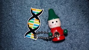 ADN de Noël
