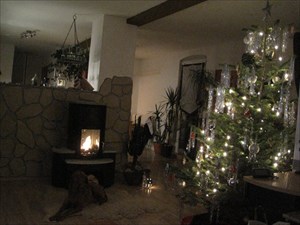 Unser Weihnachtsbaum 2011