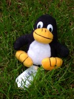 Tux, the mascotte of Linux