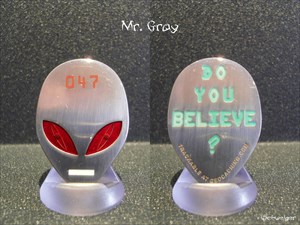 Mr. Gray Geocoin - 047