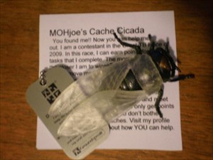 Cache Cicada