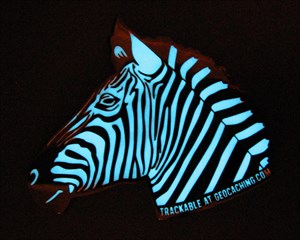 Zebra Geocoin BG (9)