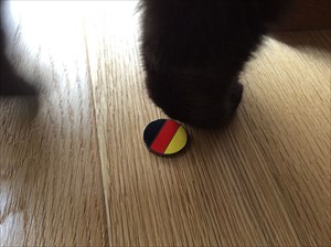 Coin with a Paw
