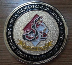 Commander and First Sergeant Coin for Excellence