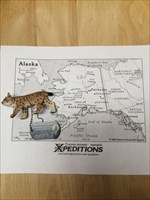 Alaska Lynx Ready to Travel