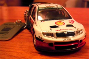 TB Race 2012 - WRC Fabia 2