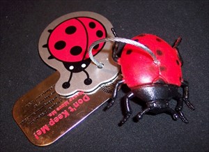 Lulu the Ladybug!
