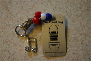 Auss-Some Edelweiss Travel Bug