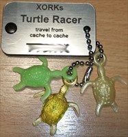 XORKs Turtle Racer Proxi 1