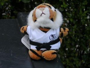 Judo Tiger
