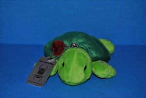 Aaron the Turtle