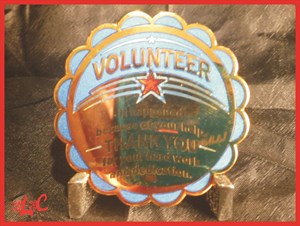 Volunteer Geo-Award Geocoin *shinygold*blue*