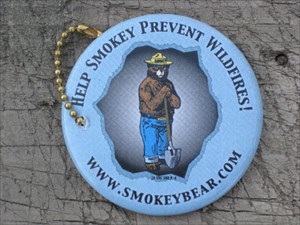 Help Smokey Prevent Wildfires!