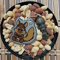 Peruvian Squirrel