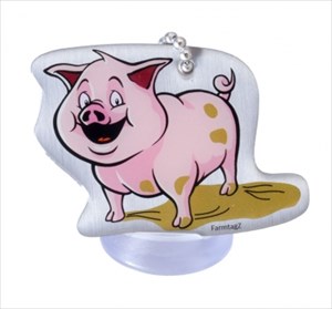 FarmtagZ - Das Schwein