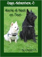 Merle und Nadi
