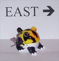 Oriental Frog - take me east