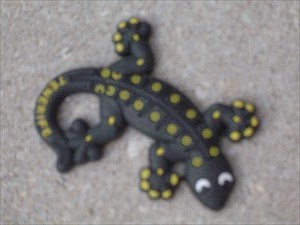 EL Gecko