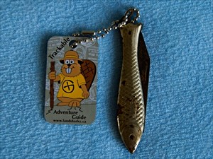Czech Knife Fish