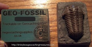 Geo-Fossil - Trilobit