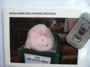 Wicked Wabbit Wool Business Pwoposals