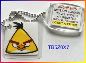 Angry Bird (2022 Proxy)