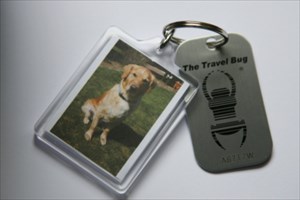 Gingers Travel Bug