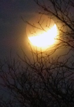 January 31st Eclipse