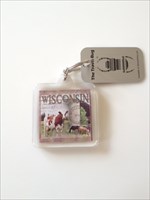 Wisconsin cow-tag