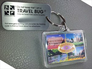 University of Washington photos + Travel bug