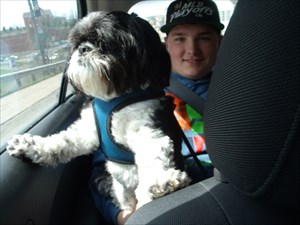 Ozzie with Little_Weasel in the car